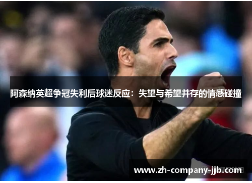 阿森纳英超争冠失利后球迷反应：失望与希望并存的情感碰撞