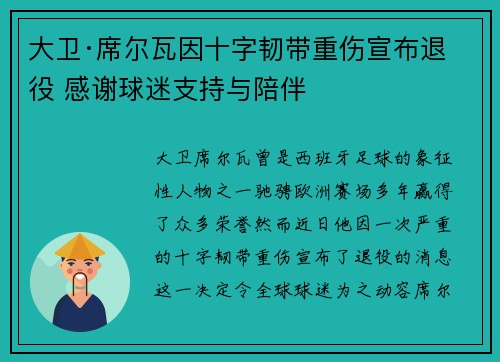 大卫·席尔瓦因十字韧带重伤宣布退役 感谢球迷支持与陪伴